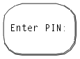 Instruction screen to enter PIN.