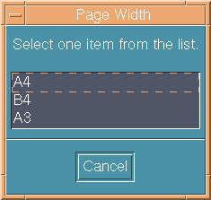 The example shown in this figure is the Page Width list showing options: A4; B4; A3..
