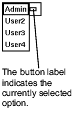 This is an example of how a drop-down button is used with a mouse to display more options.