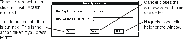 This is an example of a New Application window.