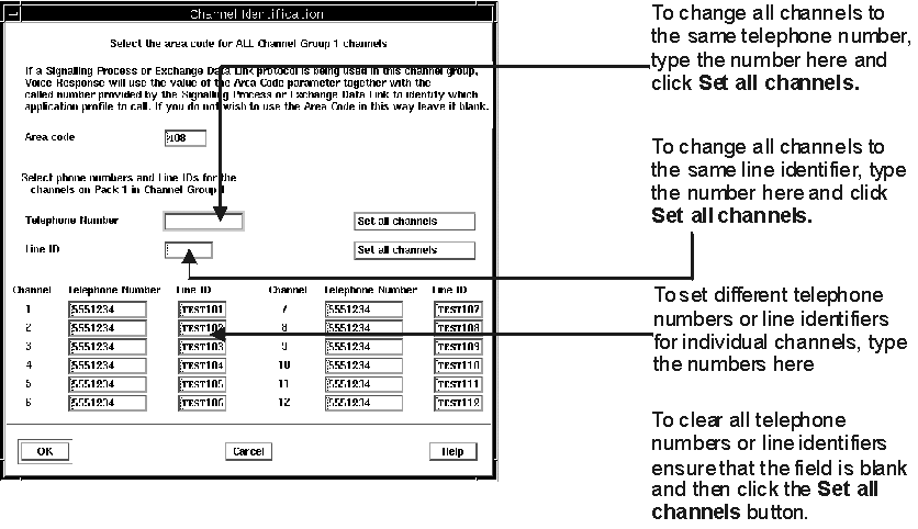 The Channel Identification window with some instructions for use. To change all channels to the same telephone number, type the number into the Telephone Number field and click Set all channels. To change all channels to the same line identifier, type the number into the Line ID field and click set all channels. To set different telephone numbers or line identifiers for individual channels, type the numbers into the fields supplied for each channel. To clear all telephone numbers or line identifiers ensure that the corresponding field is blank then click Set all channels.