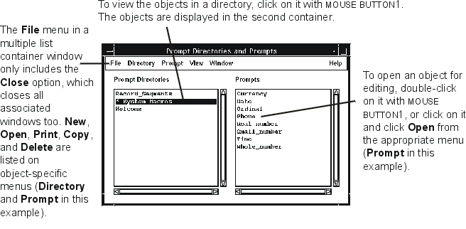 This is an example of a hierarchical container window. The figure shows the options available from the menu bar.